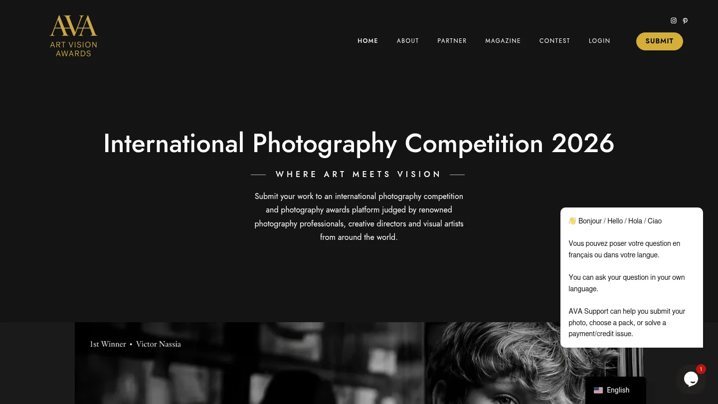 Homepage of Art Vision Awards